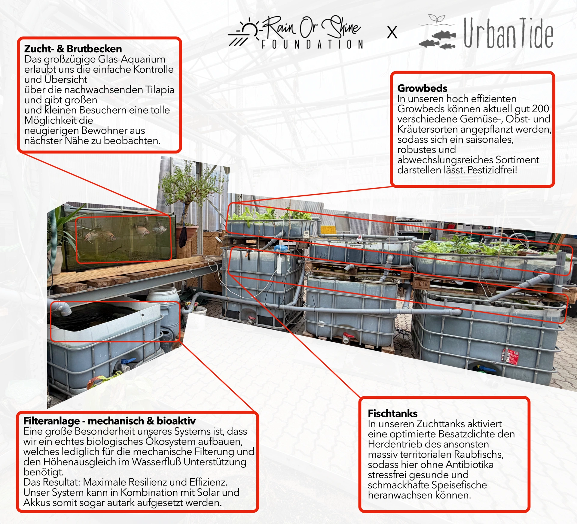 Aquaponics-Setup-2026-scaled
